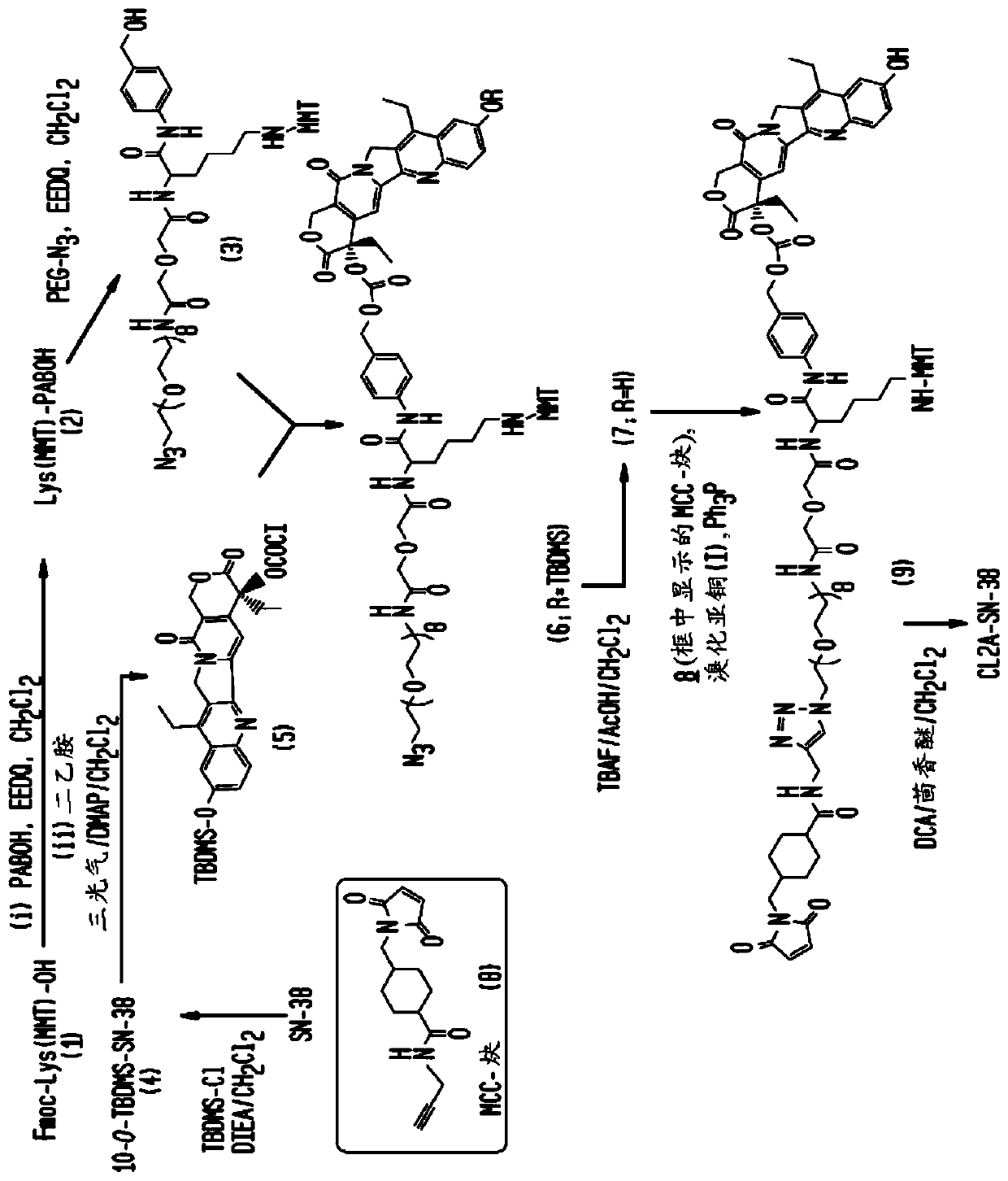 Antibody-SN-38 immunoconjugates with CL2A linker