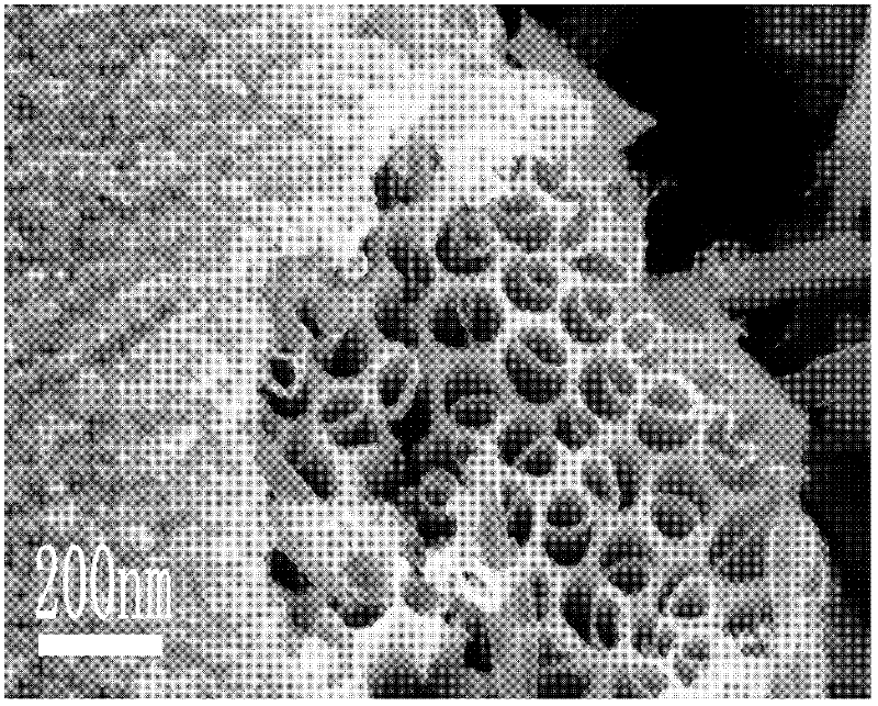 Chemical vapor synthesis method for growing carbon nanotubes in mode of being attached to wall of pore channel of template