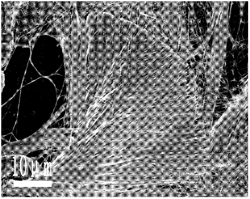 Chemical vapor synthesis method for growing carbon nanotubes in mode of being attached to wall of pore channel of template