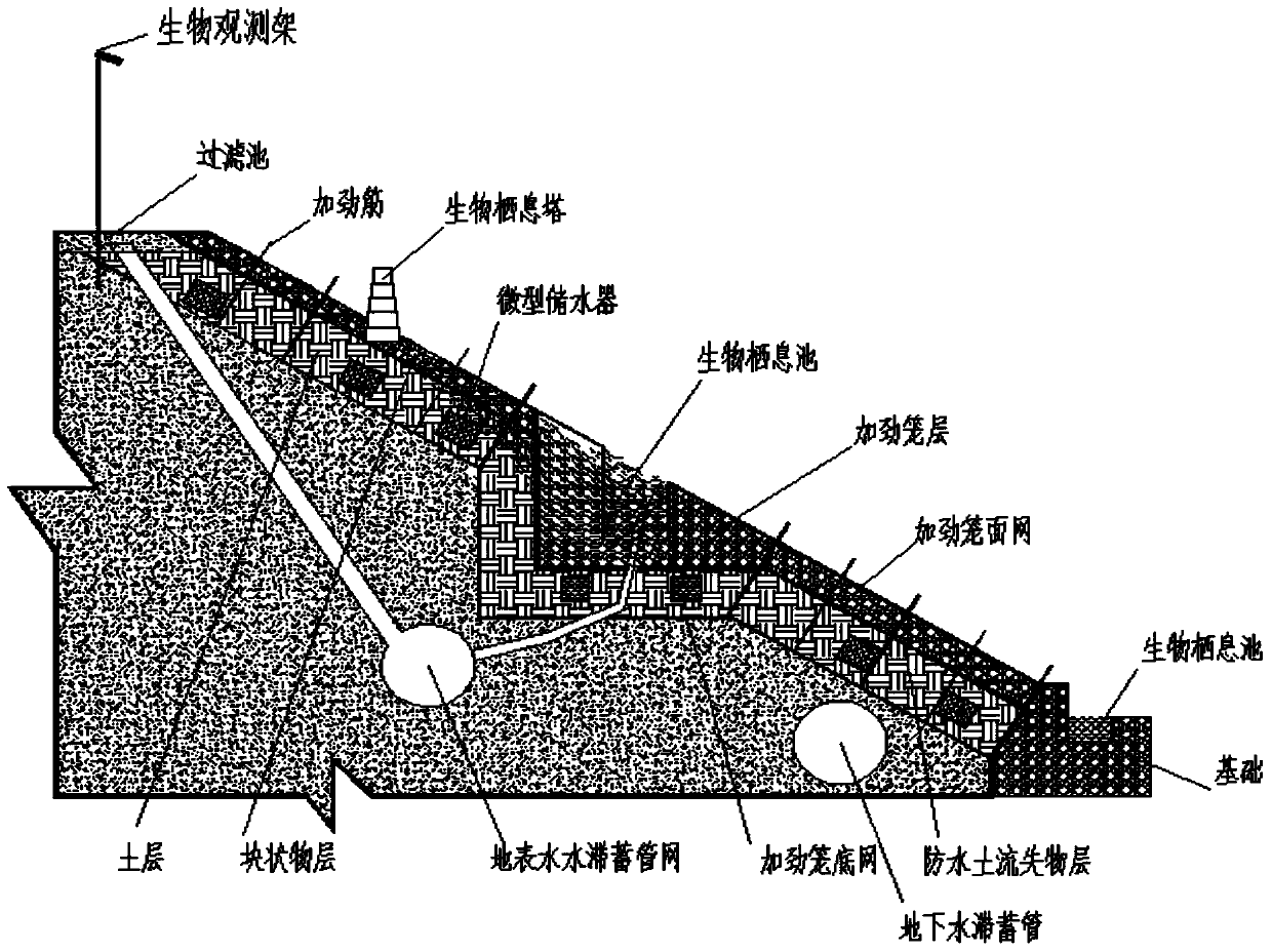 A kind of sponge body multifunctional ecological management method