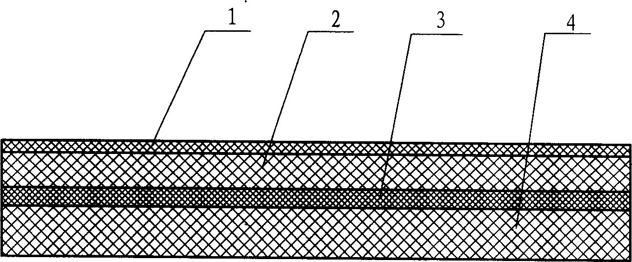 Anti-splitting paster and preparation method thereof