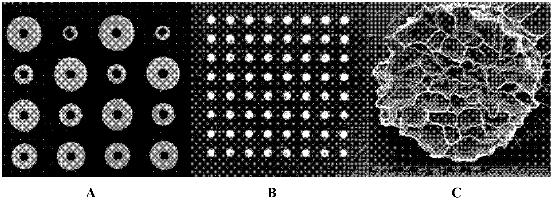 Method and apparatus for constructing three-dimensional microenvironment