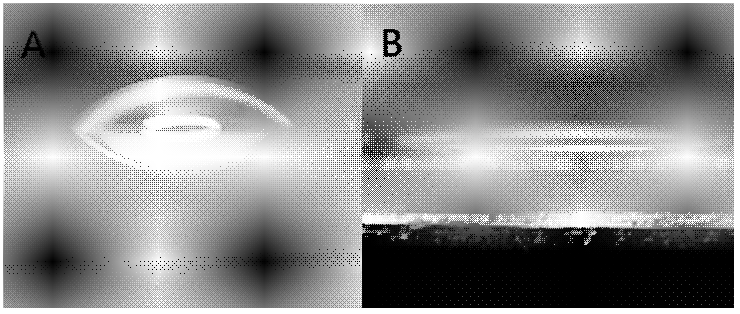 Method and apparatus for constructing three-dimensional microenvironment