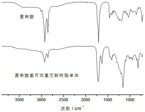 Castor oil-based double crosslinkable active resin monomer and preparation method thereof