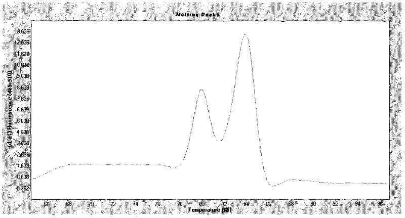 Fluorescent quantitative PCR method for simultaneous detection of streptococcus suis subtype 2 (SS2) extracellular protein factor and hemolysin gene