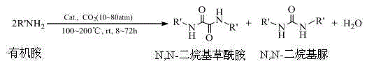 Method for synthesizing N,N-dialkyl oxamide by using CO2