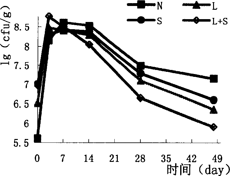 Pentose lactobacillus bacteriocin and its special production strain and uses