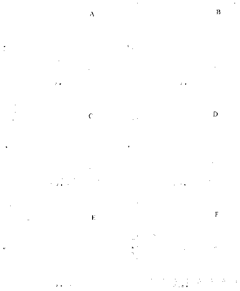 Concentration mode distribution mode measuring method of NNK (Nicotine-derived Nitrosamine Ketone) retained by filter tip