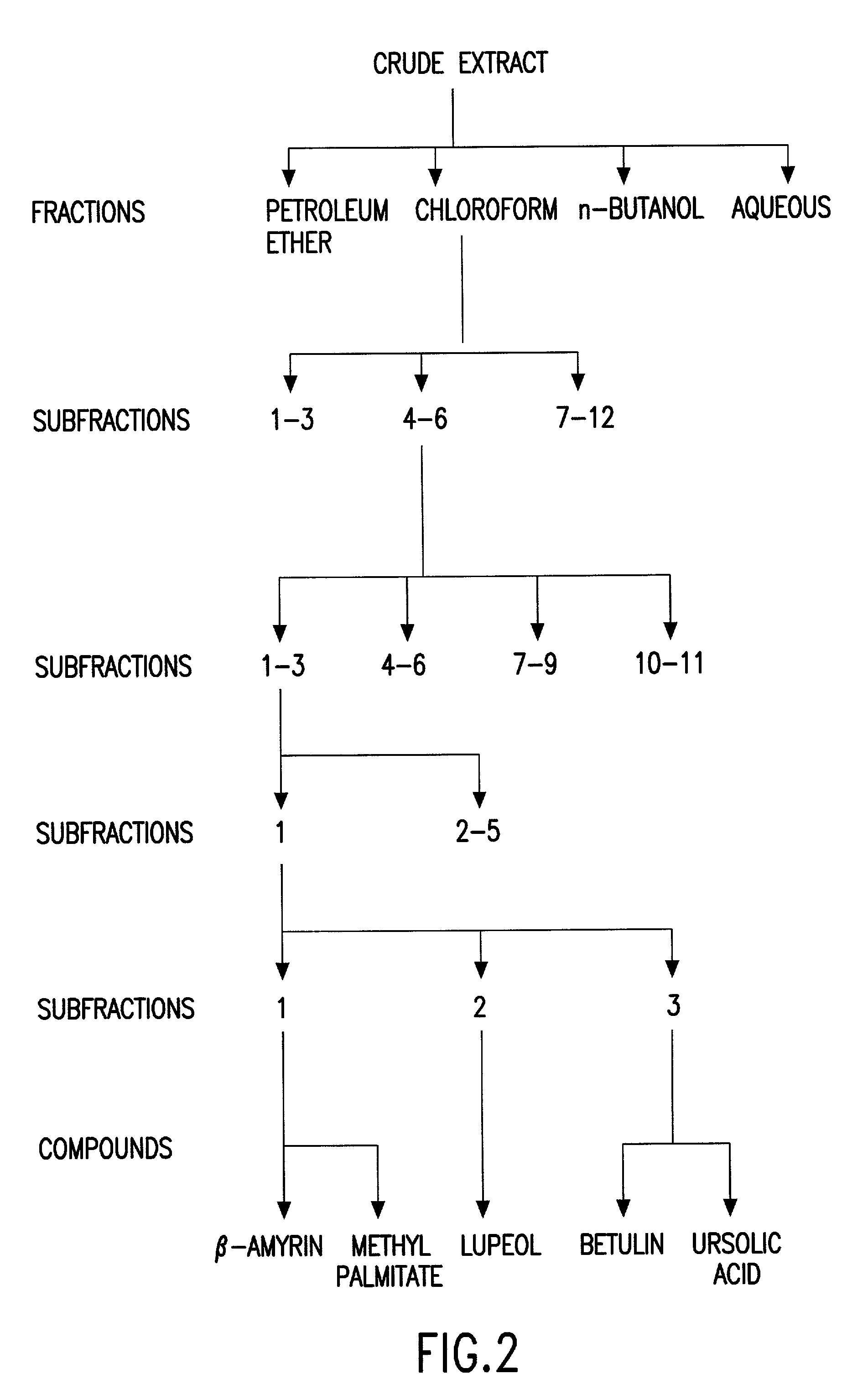 Biologically active chloroform fraction of an extract obtained from a mangroone plant Salvadora persica L