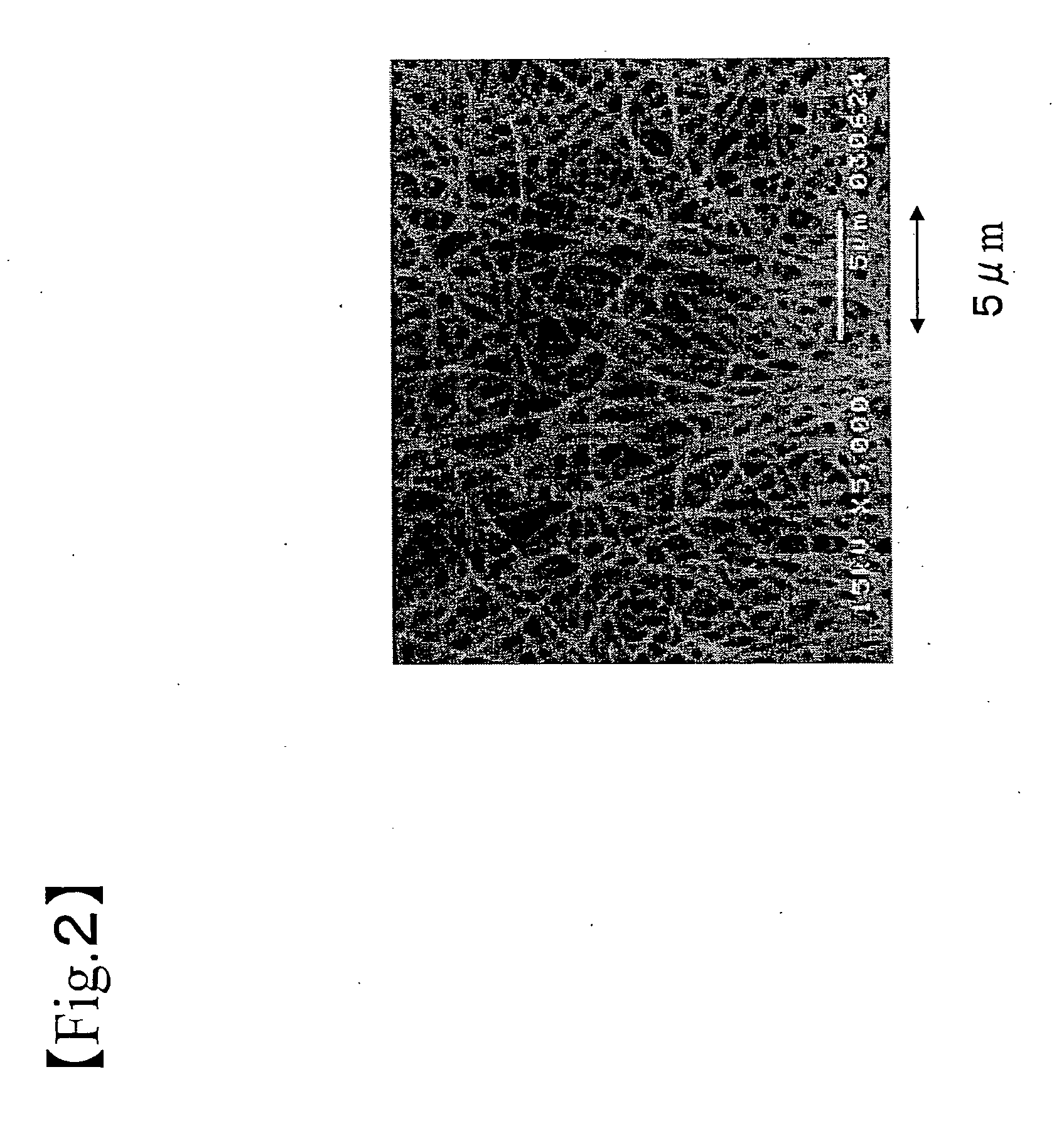 Process for producing spongelike structure