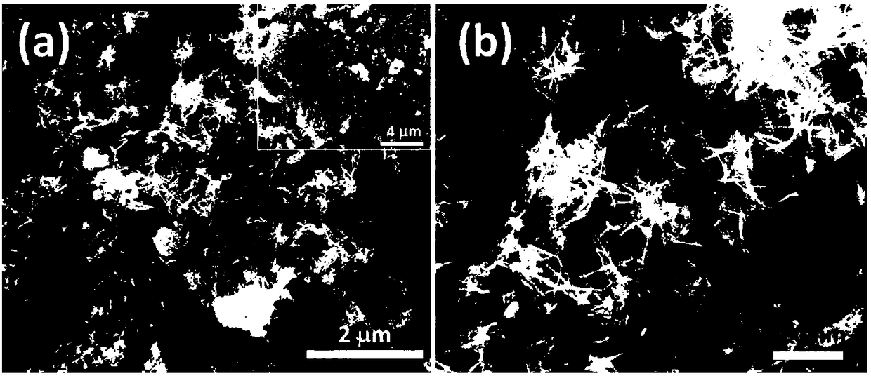 Preparation method and application of MnO2 nanowire