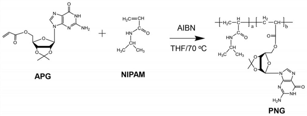 Strontium ion responsive high polymer material, ion imprinted gel, gel grating, preparation methods of ion imprinting gel and gel grating, and strontium ion detection method