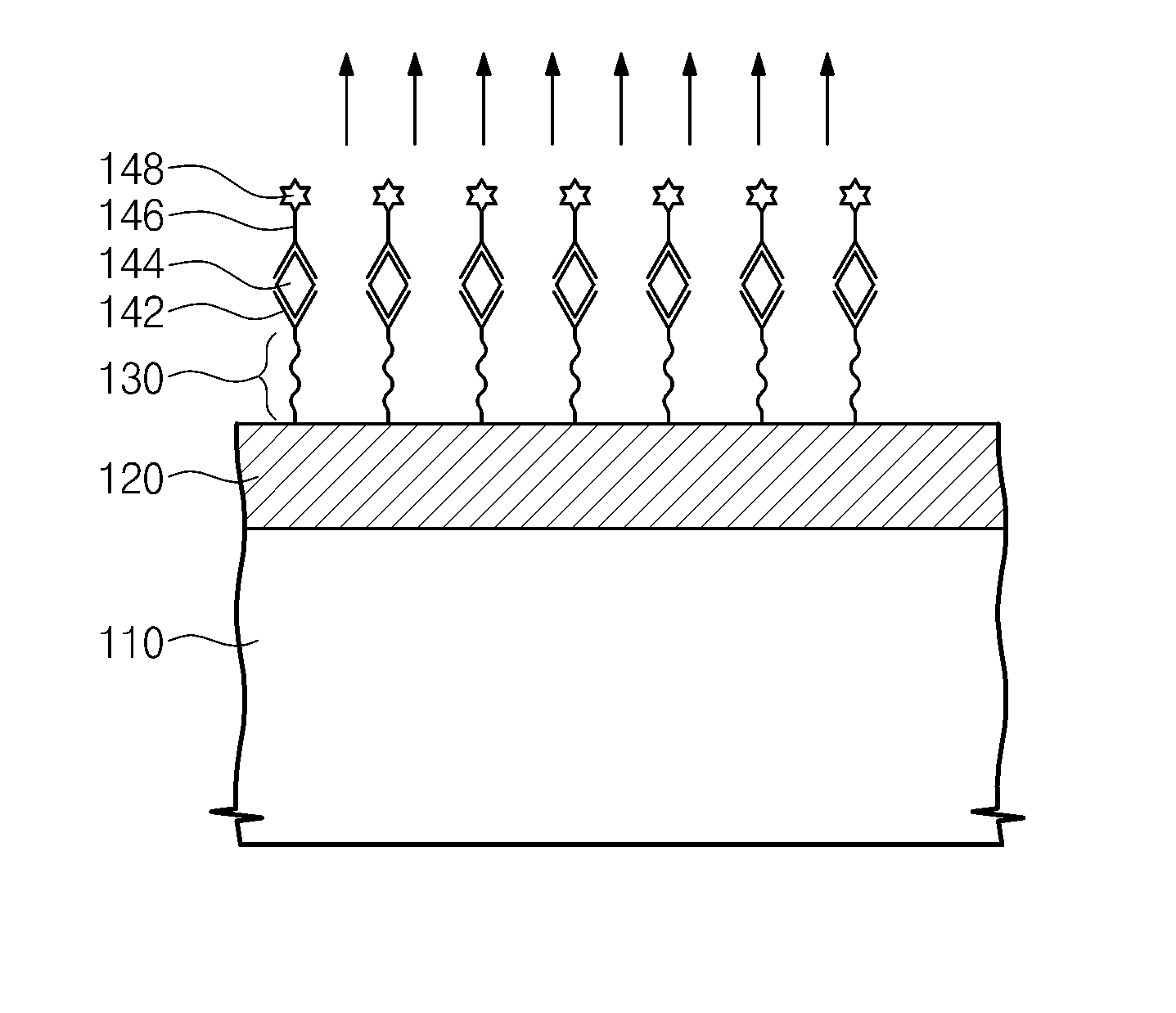 Biochip and apparatus for detecting biomaterial using biochip