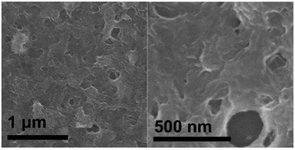 Sea-urchin-shaped bismuth sulfide/macropore graphene composite material, preparation method and application thereof