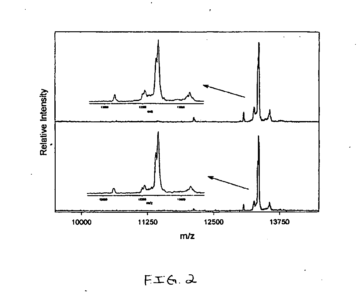 Analysis of proteins from biological fluids using mass spectrometric immunoassay