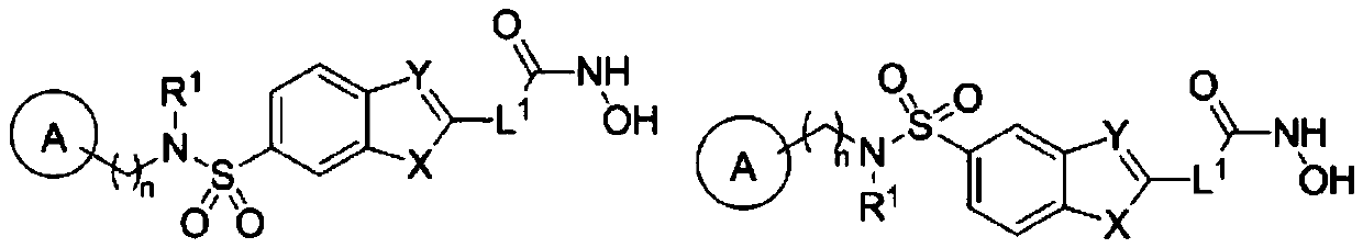 HDAC inhibitor as well as preparation method and application thereof