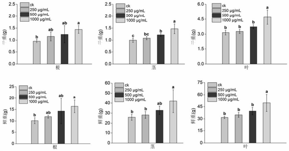 Uvaria grandiflora botanical fungicide and preparation method and application thereof