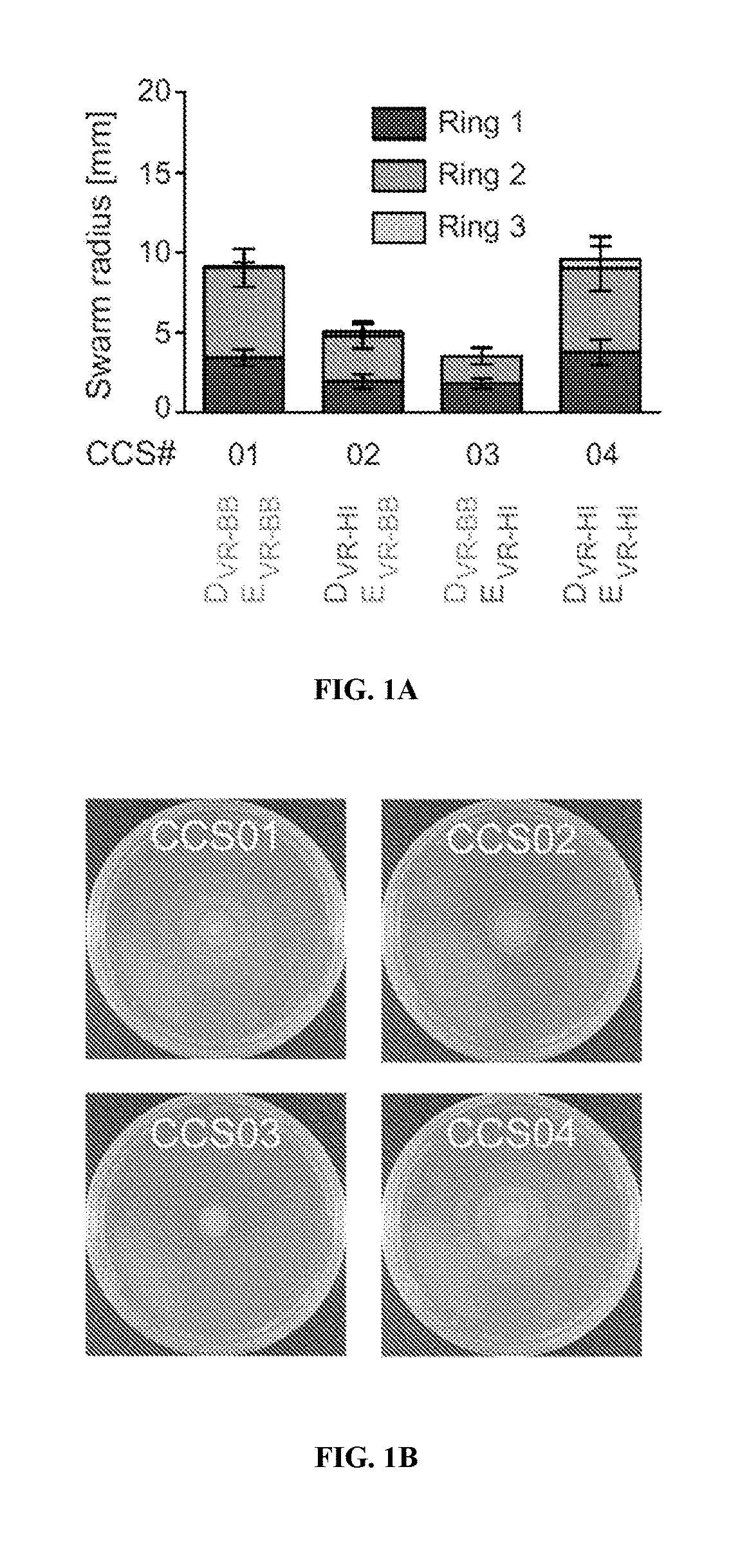 Treating infections using idsd from proteus mirabilis