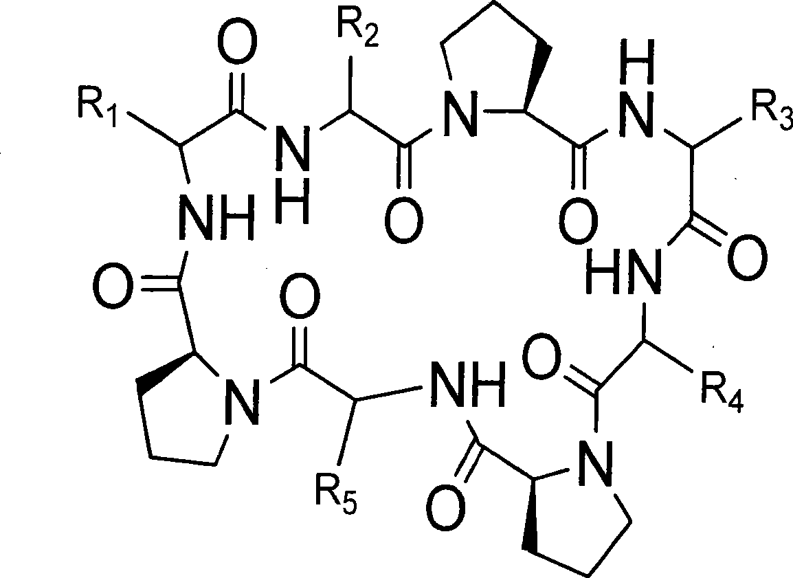 Cyclic octapeptide compound in Hsisha sponge and application thereof