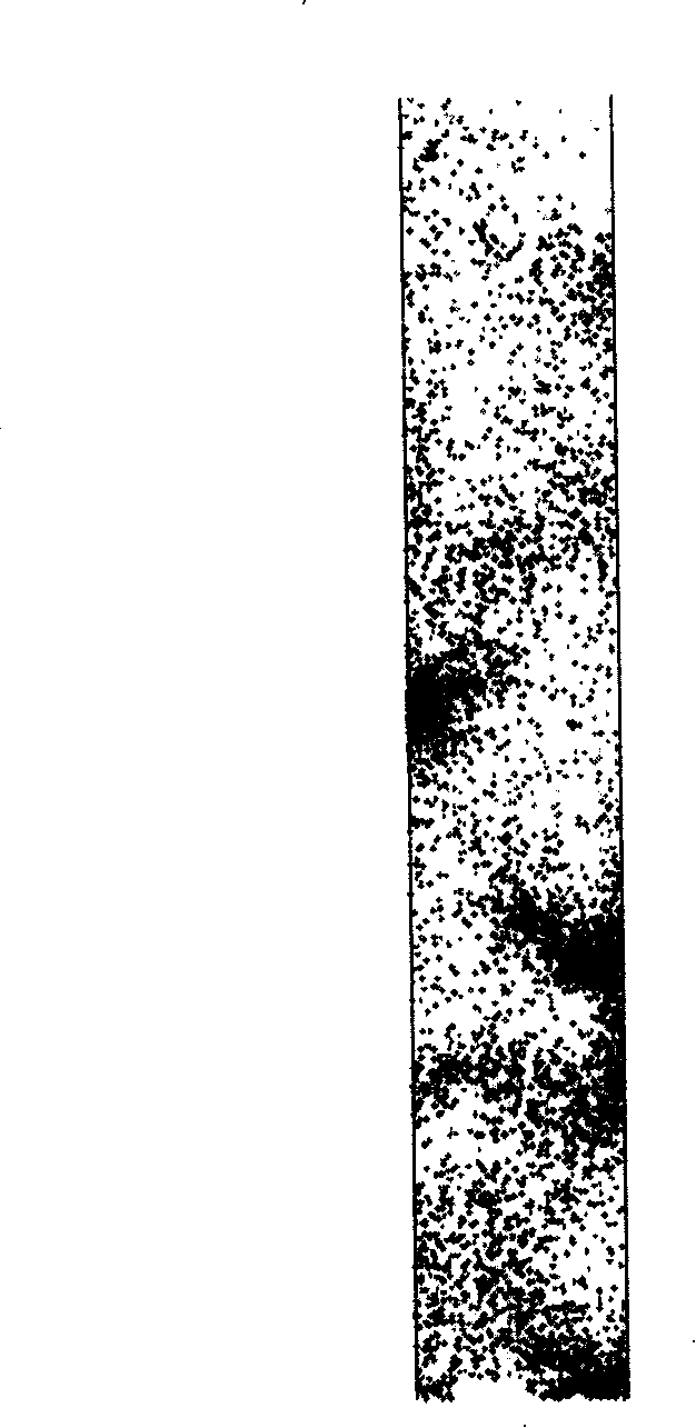 Method for measuring heterogeneous texture parameter distribution of particle fluid two-phase flow system