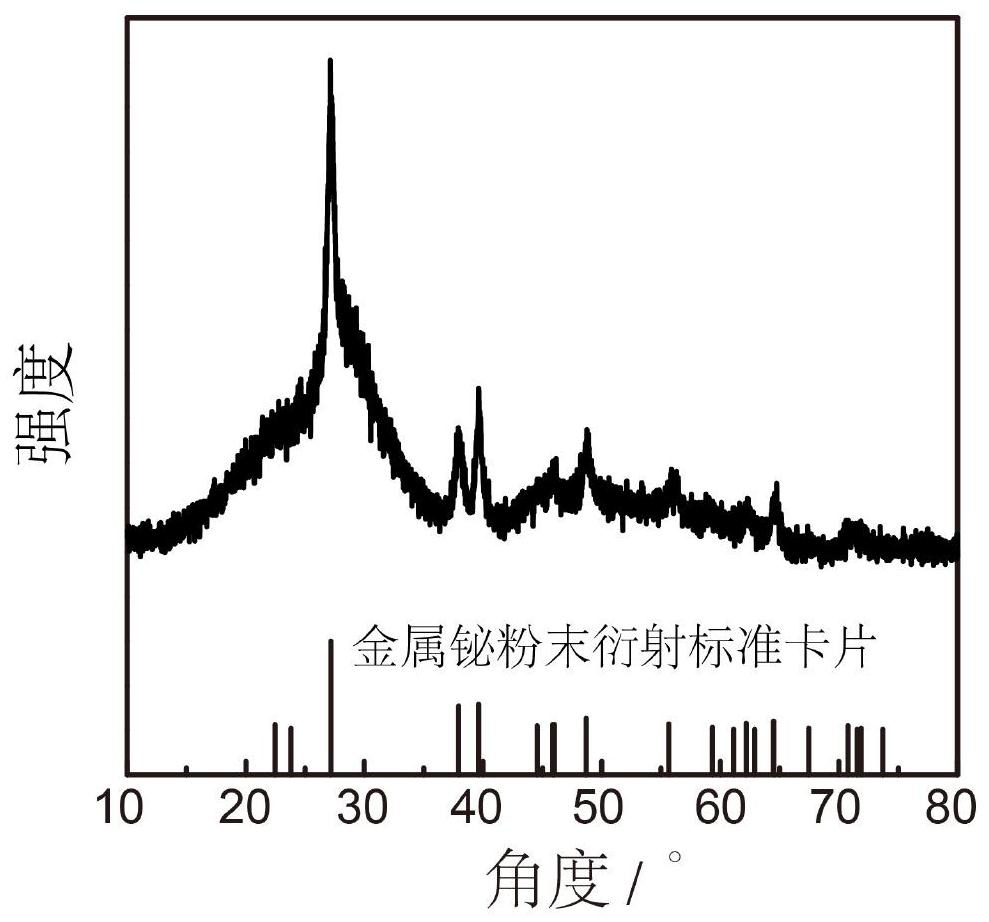 Metal bismuth nanoparticle composite material and preparation method and application thereof