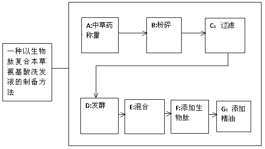 Amino acid shampoo prepared by compounding biological peptides and herbs and preparation method thereof