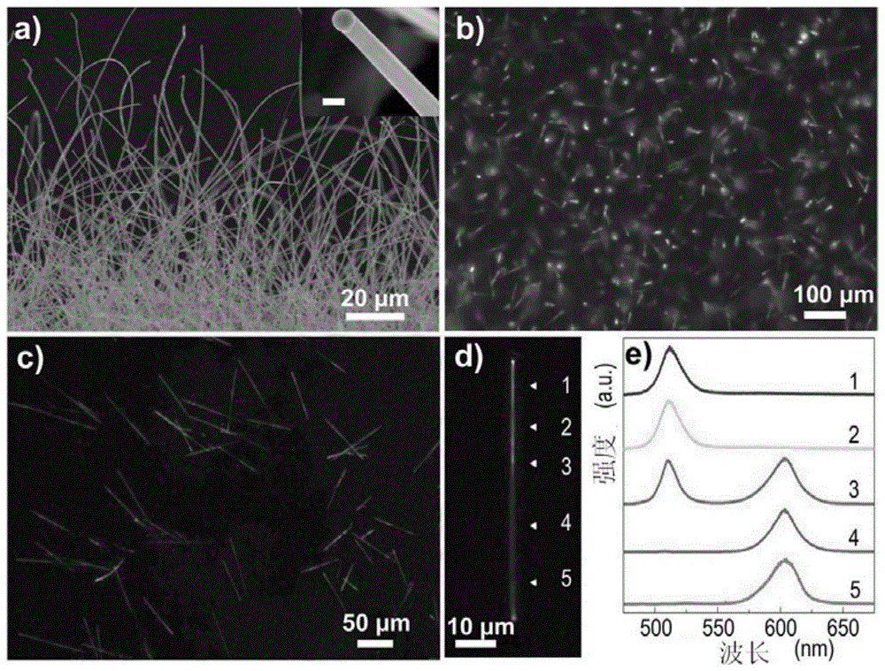 A kind of semiconductor cds/cdsse heterojunction nanowire and preparation method thereof