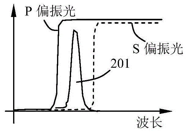 Light emitting device and projection device