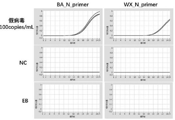 Viral nucleic acid extraction or preservation reagents, primer probe combinations, virus amplification reagents, kits and their applications