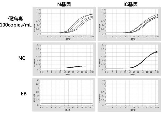 Viral nucleic acid extraction or preservation reagents, primer probe combinations, virus amplification reagents, kits and their applications