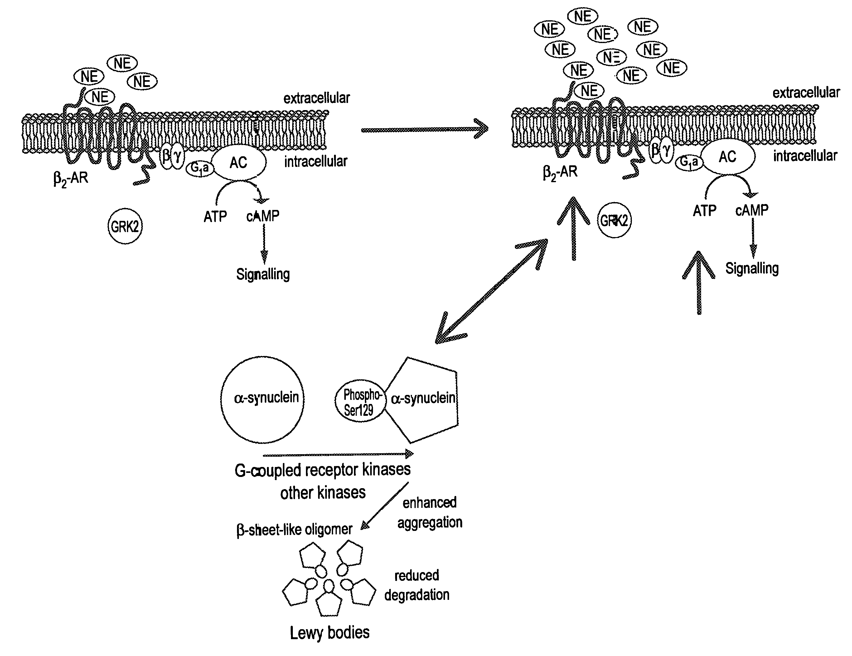 Adrenoceptors antagonists for the prevention and treatment of neurodegenerative conditions