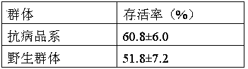 Construction method of grass carp anti-bacterial septicemia strain