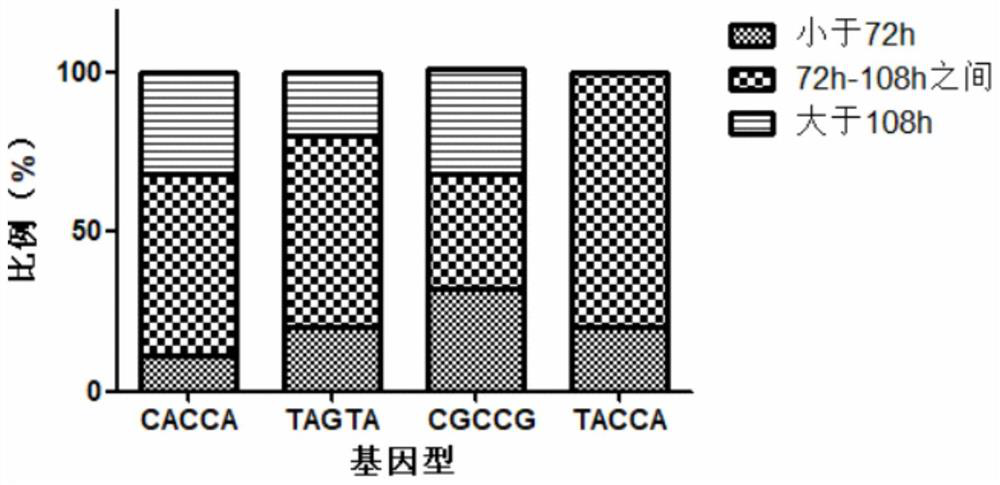 SNP (Single Nucleotide Polymorphism) molecular marker for improving disease resistance of procambarus clarkii and application