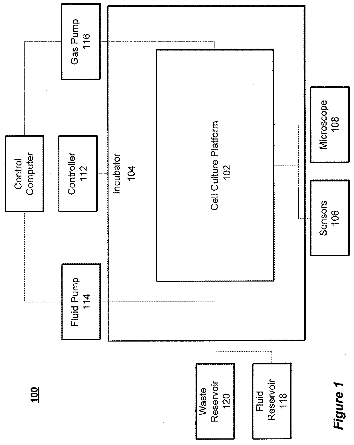 Modular platform for multi-tissue integrated cell culture