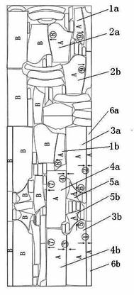 Garment layout tailoring method