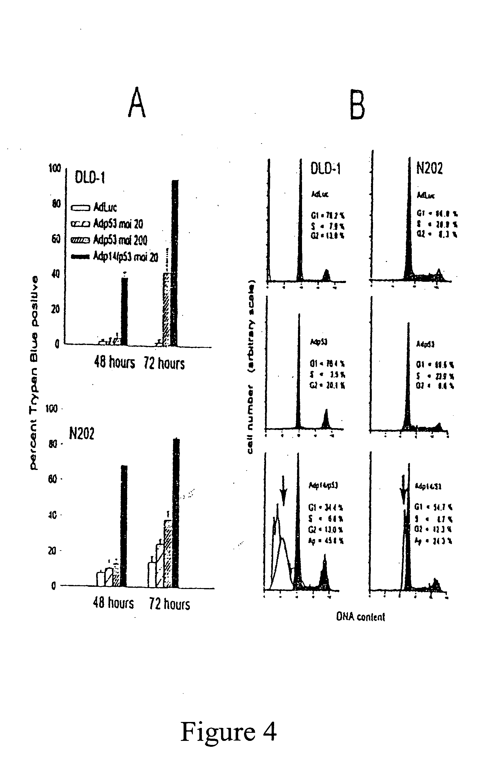 Tumor suppression through bicistronic co-expression of p53 and p14ARF