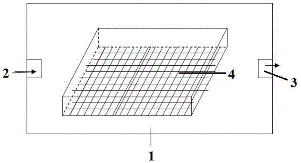 Tor sinensis artificial breeding method