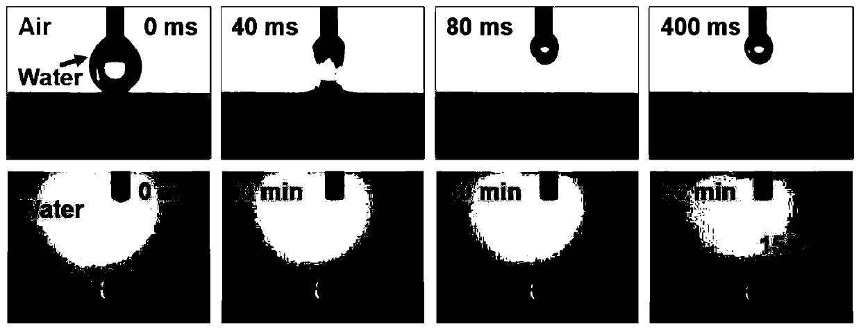 Preparation method of novel three-dimensional solar photo-thermal oil-water separator