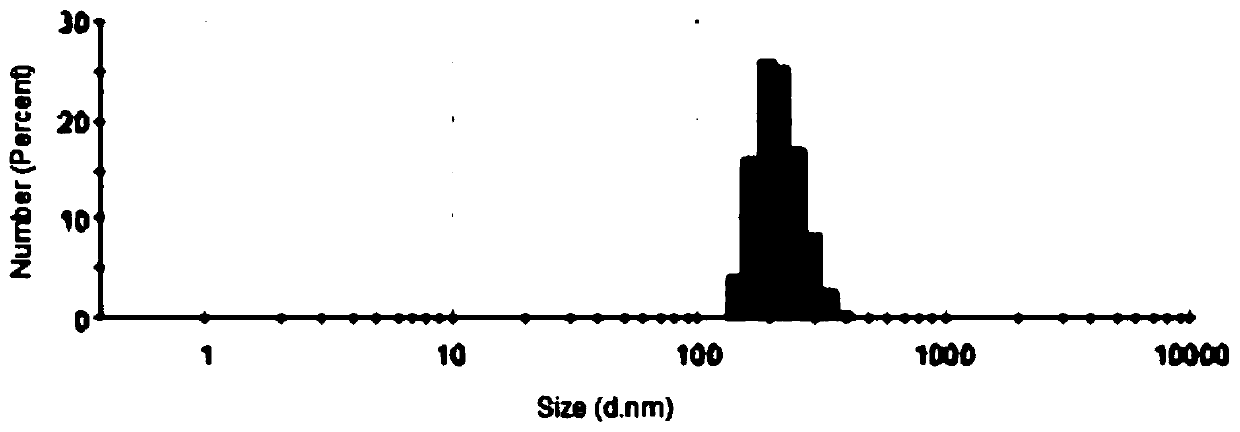 Nano silver and preparation method and application of nano silver