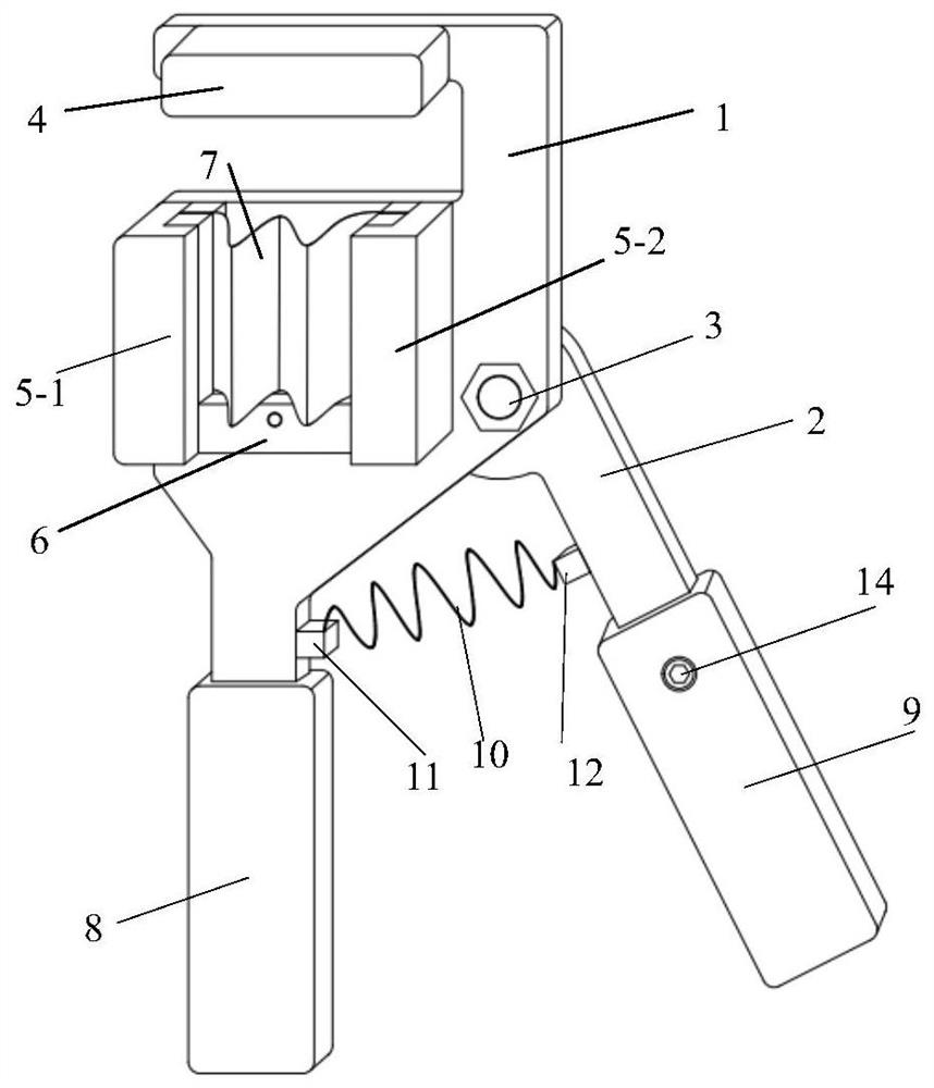 Fruit tree grafting method