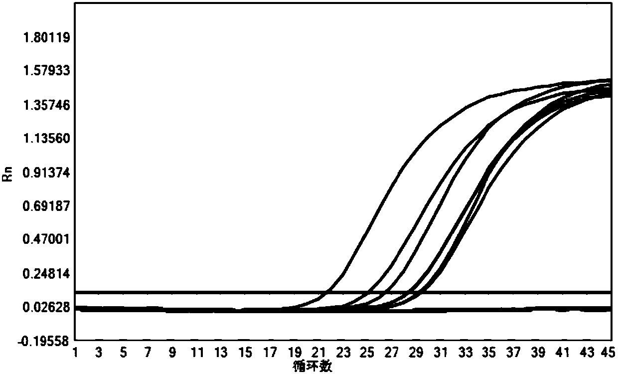 Primer, probe and kit for detecting microorganism in urogenital canal and use method of kit