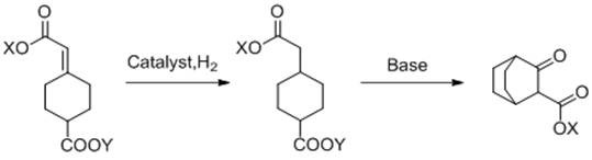 Process for preparation of 3-carbonyl-bicyclo[2.2.2]octane-2-formate