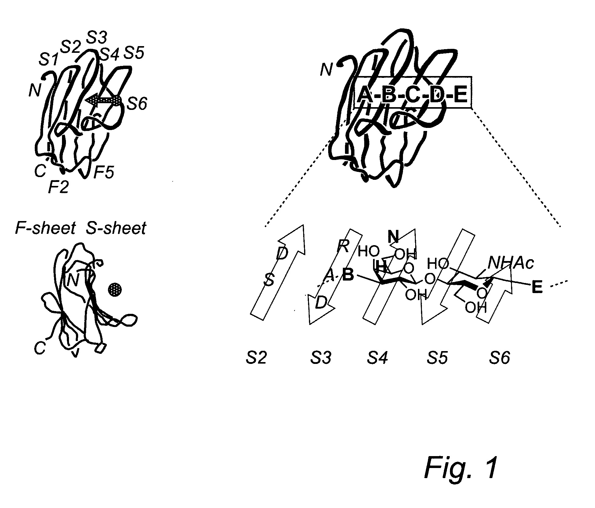 Novel synthesis of galactoside inhibitors