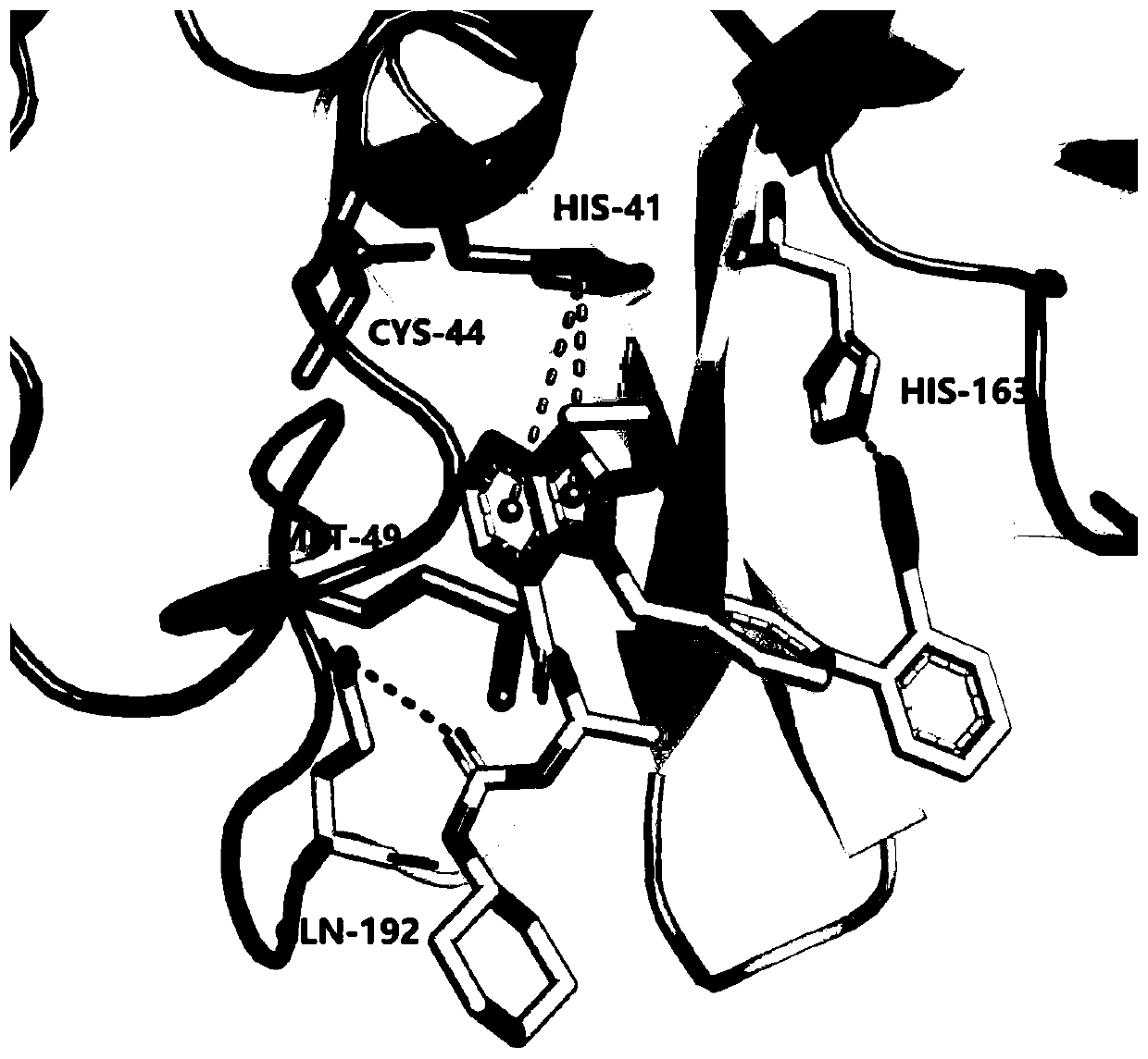 Application of candesartan cilexetil or pharmaceutically acceptable salt thereof in preparation of drug for preventing and/or treating COVID-19