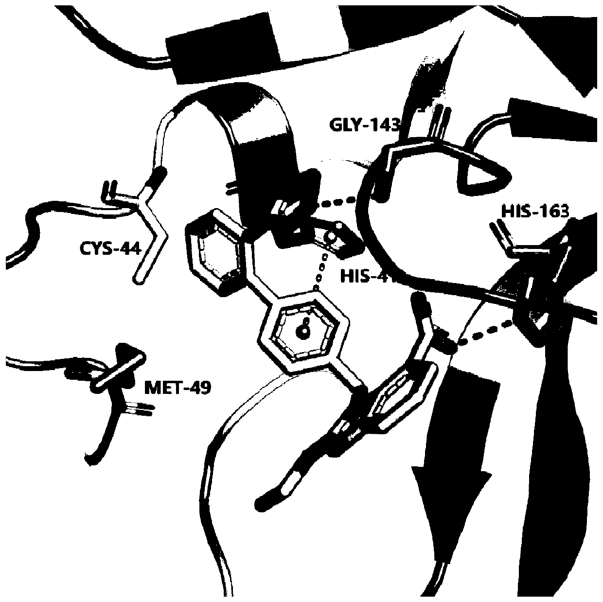 Application of candesartan cilexetil or pharmaceutically acceptable salt thereof in preparation of drug for preventing and/or treating COVID-19