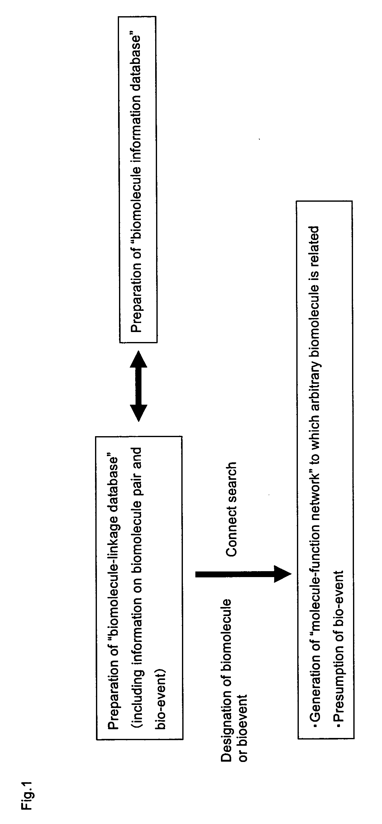 Method of foming molecular function network