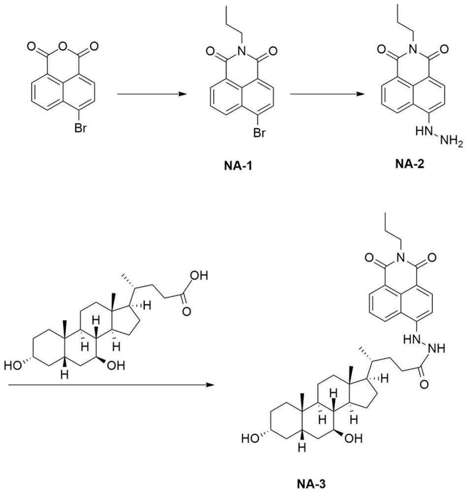 A liver-targeted peroxynitrite fluorescent probe, its preparation method and application