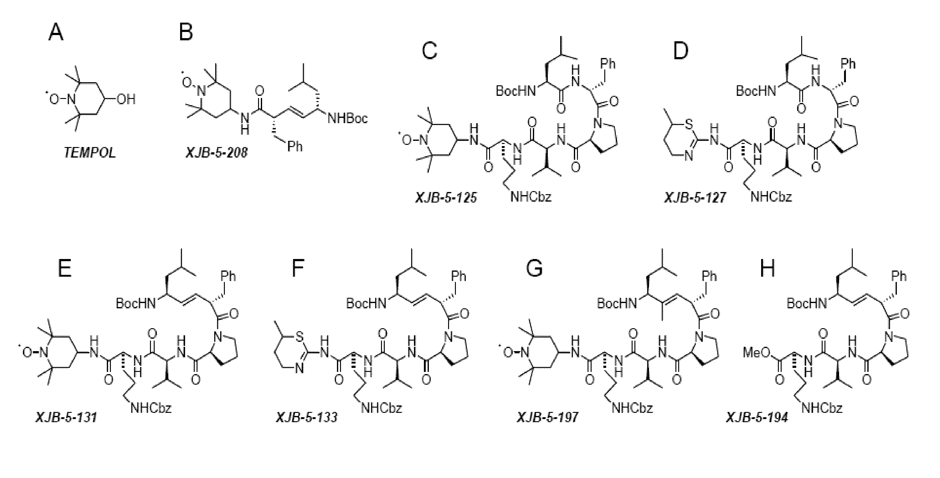 Selective Targeting Agents for Mitochondria