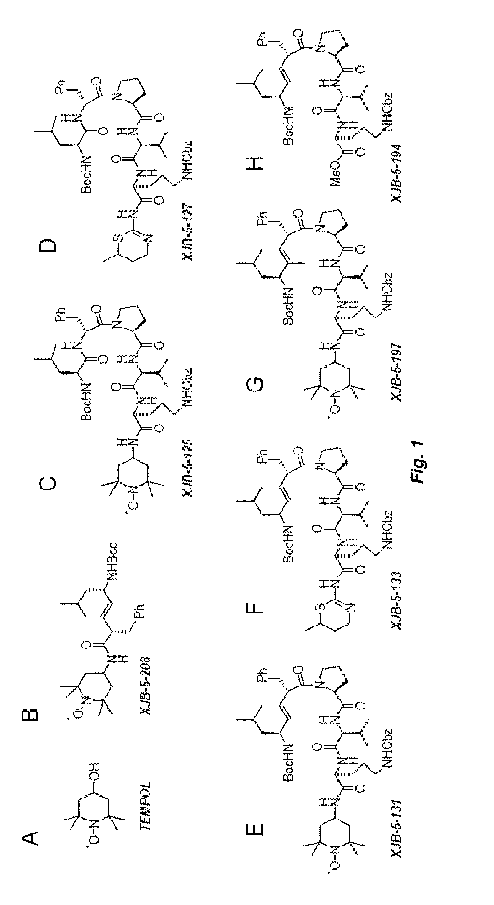 Selective Targeting Agents for Mitochondria