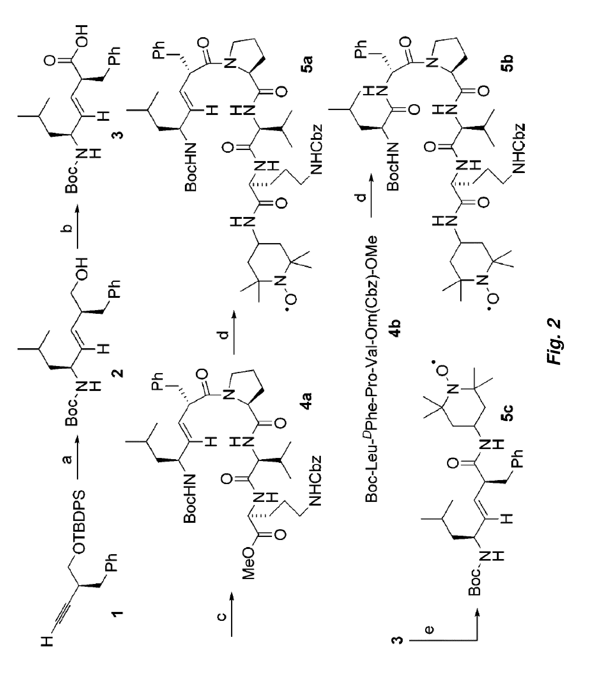 Selective Targeting Agents for Mitochondria